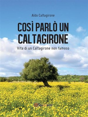 cover image of Così parlò un Caltagirone
